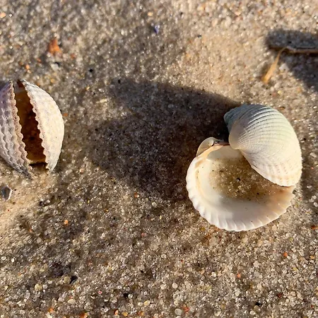 Gmelinstrasse 27a * Wyk auf Föhr